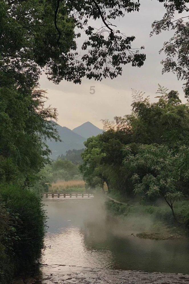 植物大战僵尸15